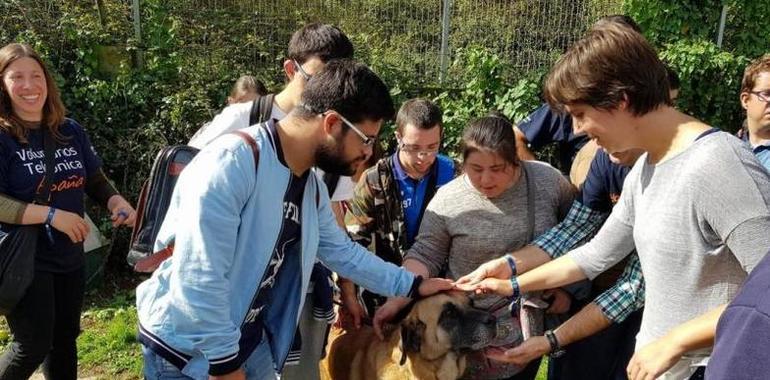 12 nuevas actividades extraescolares para alumnos ovetenses