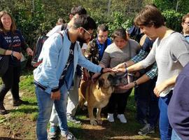 12 nuevas actividades extraescolares para alumnos ovetenses