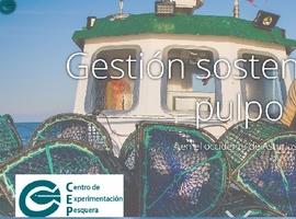 El pulpu asturianu, único en el mundo con eco-etiqueta MSC, estrena web