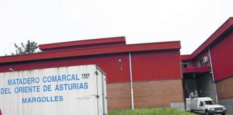 FORO urge la reapertura del matadero comarcal del Oriente