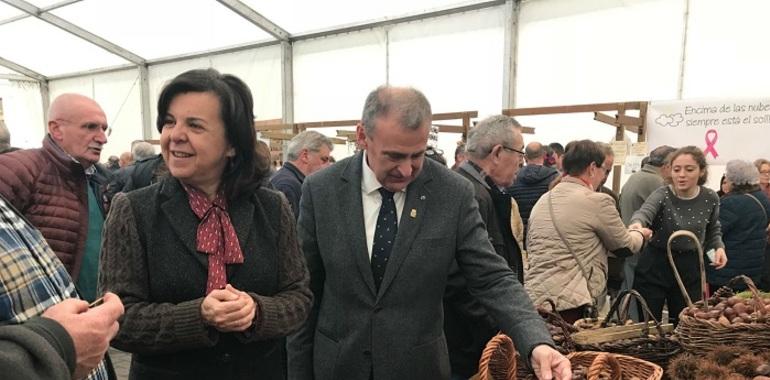 Asturias aumenta la inversión en infraestructuras contra incendio forestal