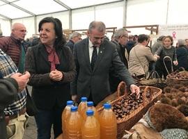 Asturias aumenta la inversión en infraestructuras contra incendio forestal