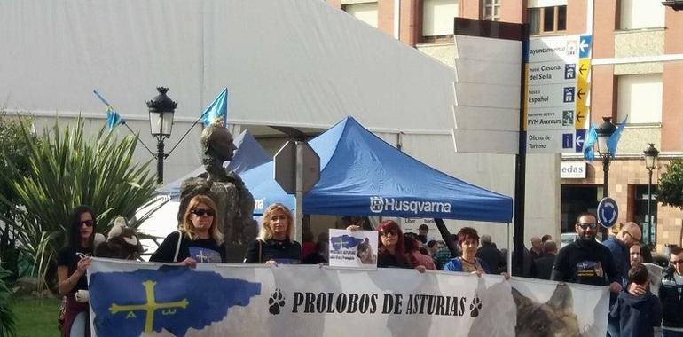 Concentración de activistas contra las matanzas de lobo en Arriondas