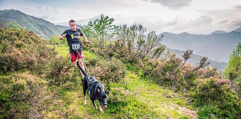 Comienza en Asturias la temporada de Mushing 2017/18
