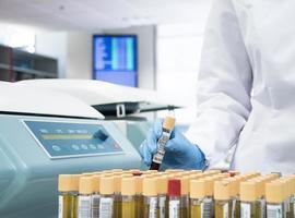 Asturias invertirá 2,6 millones para el retorno de investigadores que trabajan en el extranjero