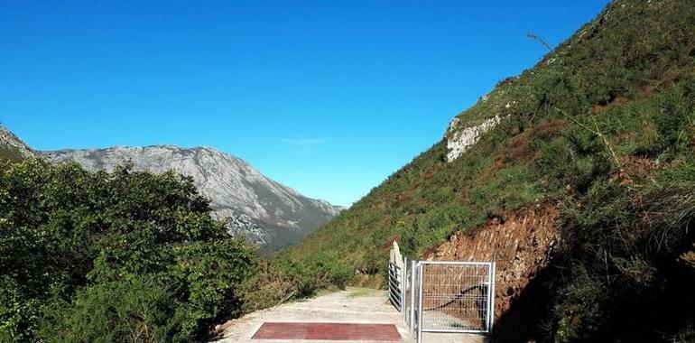 El paraje de Orticeda, en Ardisana (Llanes) ya tiene su paso canadiense