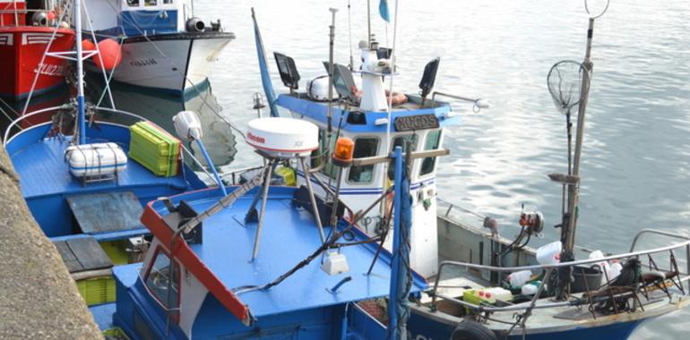 El puerto de Gijón, pionero en su iniciativa de recoger basura de alta mar