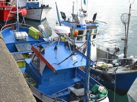 El puerto de Gijón, pionero en su iniciativa de recoger basura de alta mar