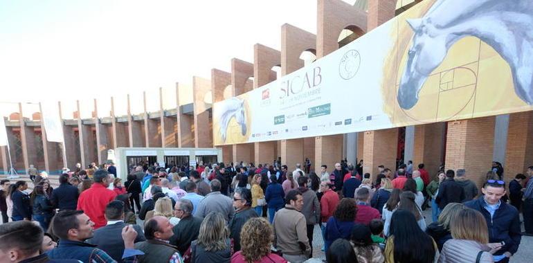 1.077 caballos PRE y 342 ganaderías en un exitoso SICAB 