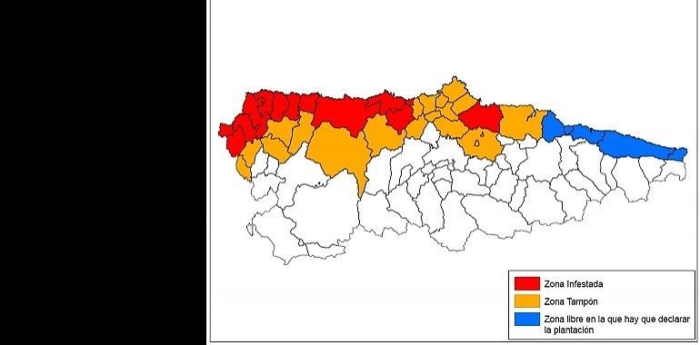 La lucha contra la polilla guatemalteca implica ya a 27 concejos asturianos