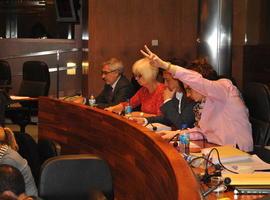Marta Pulgar, diputada de IU, contra la decisión de dedicar el CTI a primeros episodio