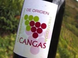 Conferencia de Mª Carmen Martínez: “Ciencia, viticultura y vinos asturianos