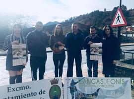 El puente de las setas en el Oriente de Asturias