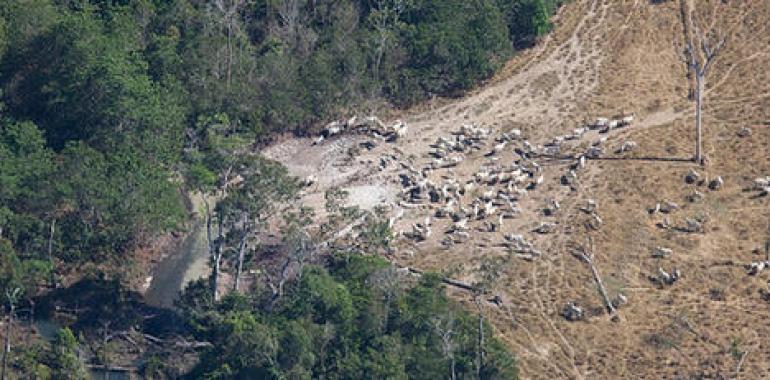 Greenpeace filtra documentos secretos sobre el acuerdo comercial de la UE con Mercosur