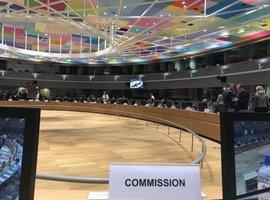 La UE mantiene la sobrepesca de especies esquilmadas como anguila o sardina