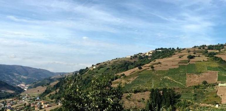 1,3 M€ para reparar la carretera que une Degaña e Ibias   