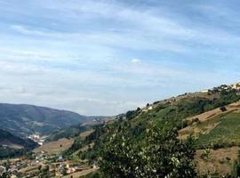 1,3 M€ para reparar la carretera que une Degaña e Ibias   