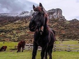 Asturias recibió a más de 2,2 millones de turistas hasta noviembre