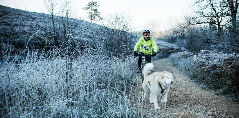 La Copa España de Mushing inverna en La Fresneda