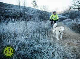 La Copa España de Mushing inverna en La Fresneda