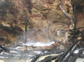 Fallecen tres jirafas en el Parque de Cabárceno al incendiarse su edificio 