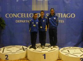 Buen papel de la representación asturiana en el Campeonato de España de Patinaje Artístico