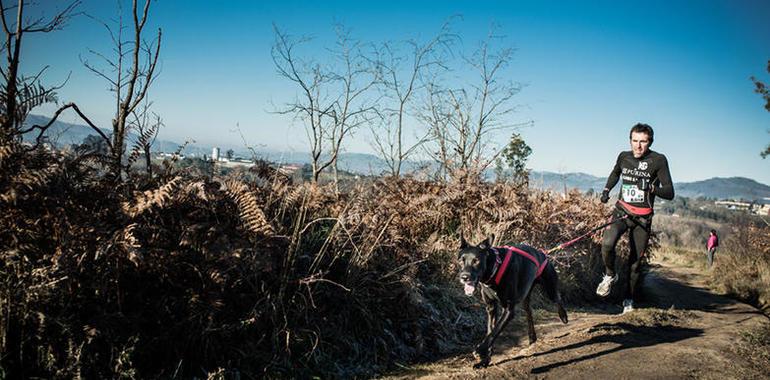 El domingo se celebra en La Fresneda la 3ª prueba de Copa de España de Mushing