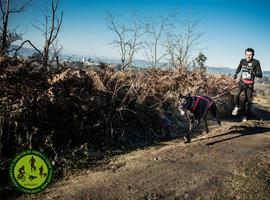 El domingo se celebra en La Fresneda la 3ª prueba de Copa de España de Mushing