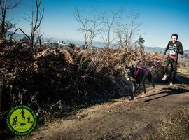 El domingo se celebra en La Fresneda la 3ª prueba de Copa de España de Mushing