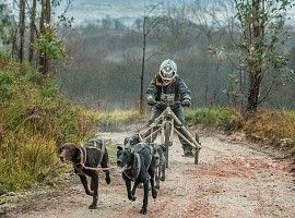 Copa España Mushing: Un día de perros en La Fresneda