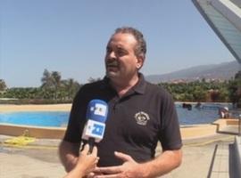 El cóctel de tóxicos en el mar extermina las orcas