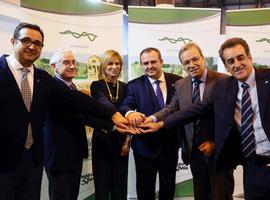 #Fitur: La España Verde lucha por los mercados estadounidense y asiático
