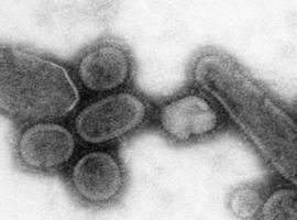 La incidencia de la gripe en Asturias desciende por tercera semana consecutiva