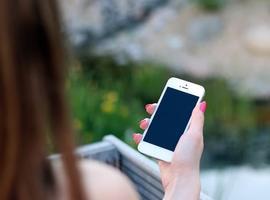 Un 25% de los consumidores realizaron sus compras de rebajas online y con móvil