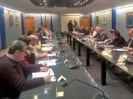 IU llama al resto de fuerzas a sumarse a la alianza por las infraestructuras
