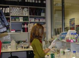En Asturias 544 enfermos de cáncer se encuentran en situación de vulnerabilidad económica