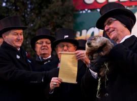 La marmota no tiene ni idea de cuánto durará el invierno