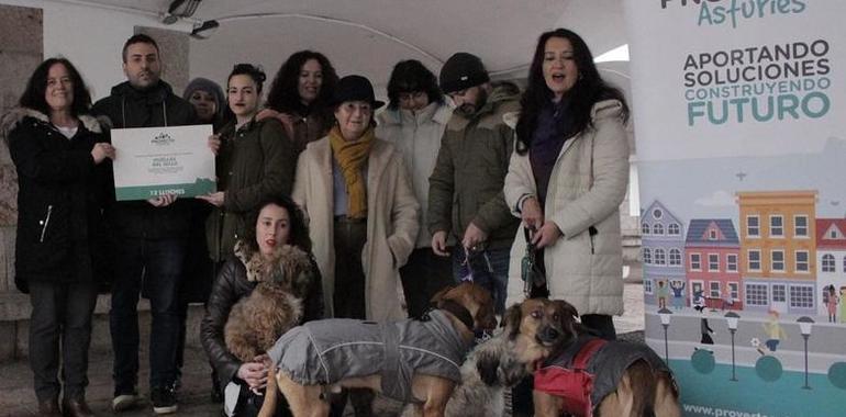 Podemos reclama protección municipal a los animales abandonados