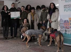 Podemos reclama protección municipal a los animales abandonados