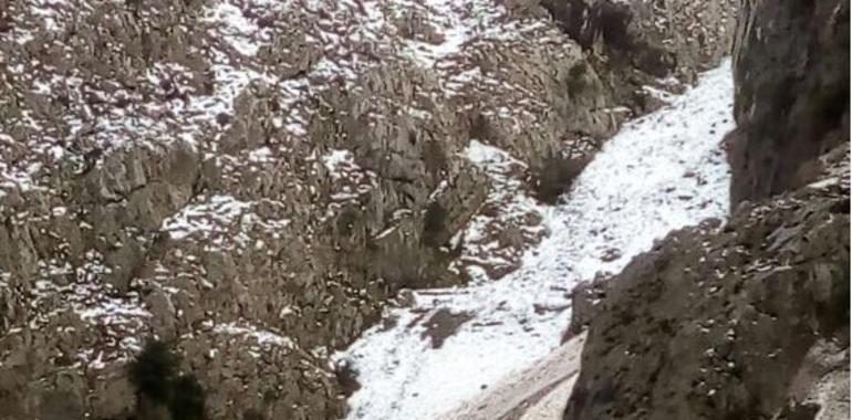 Cerrada la ruta del Cares por dos intensos aludes