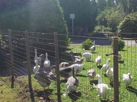 Ciudadanos reclama inversiones en el Parque Isabel La Católica