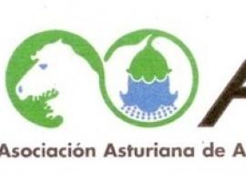 A.N.A. propone vías alternativas al Naranco para el acceso Norte a Oviedo