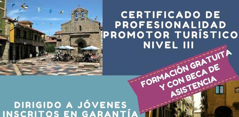 El Fondo Social Europeo concede una ayuda de 96.484 euros al Ayuntamiento de Avilés