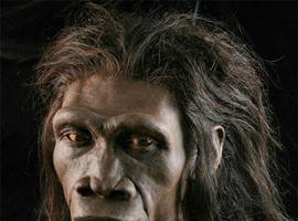 Una molécula de azúcar en el origen del género humano