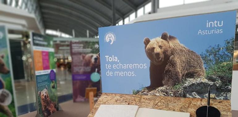 1.300 escolares tras las güellas del oso de Asturias en Intu