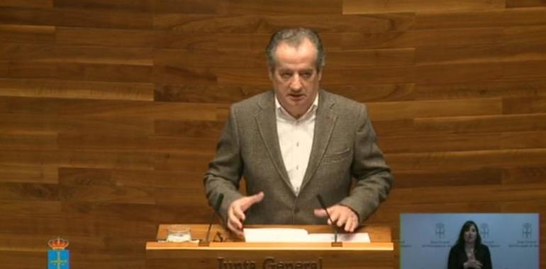 Ciudadanos reclama dignificar la As-116 entre Olloniego y Riaño