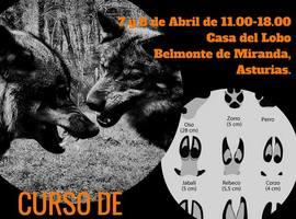 Curso “Rastreo de fauna ibérica” en “La Casa del Lobo” en Belmonte de Miranda