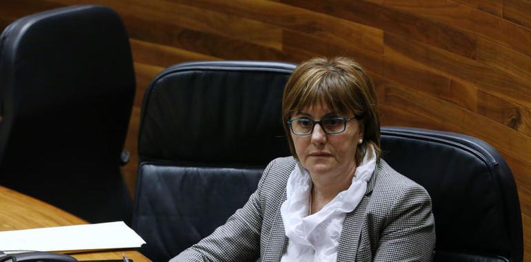 Asturias inicia la tramitación de la ley sobre acción concertada