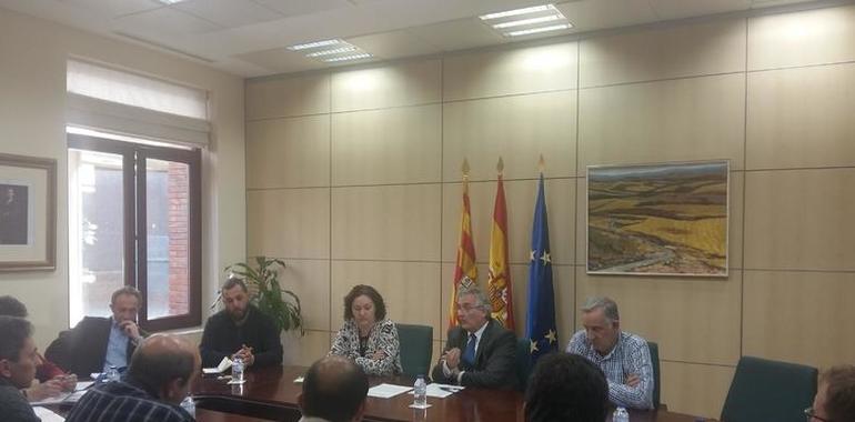 El lobo no fue el autor de la muerte de las ovejas de Ejea de los Caballeros