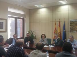 El lobo no fue el autor de la muerte de las ovejas de Ejea de los Caballeros